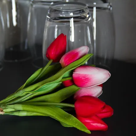 La Vereda Only Adults Mora de Rubielos